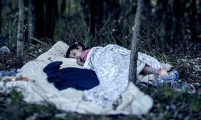 Μικρά παιδιά κοιμούνται μόνα τους στα δάση της Ευρώπης | Ειδησεις Κοσμος