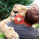 Λιοντάρι τρέχει να αγκαλιάσει τον άντρα που το μεγάλωσε | Βίντεο με Λιοντάρια