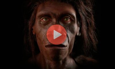 Η εξέλιξη του ανθρώπου σε 1 λεπτό | Viral Video