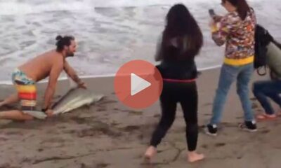 Έβγαλε καρχαρία στη στεριά για selfies | Viral Βίντεο