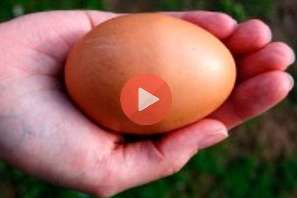 Πετούσε αβγά στην μητέρα του | Φάρσες Βιντεο