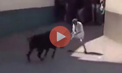 Καρέ-καρέ η άγρια επίθεση ταύρου σε περαστικό - Τον πέταξε στον αέρα σε κεντρική πλατεία