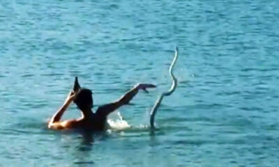 Πήρε το φίδι του στη θάλασσα και κολυμπούσαν μαζί