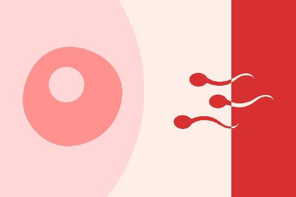 Οι γυναίκες πρέπει να κατανοήσουν ότι η κολπική αιμορραγία δεν είναι περίοδος και η περίοδος δεν είναι κολπική αιμορραγία | Εγκυμοσύνη και Περίοδος