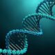 Στη μελέτη, η οποία δημοσιεύθηκε την 1η Απριλίου στο περιοδικό Nature, οι ερευνητές ανέλυσαν τις αρχαίες πρωτεΐνες στο σμάλτο ενός δοντιού 800.000 χρόνων για να αποκρυπτογραφήσουν το τμήμα του γενετικού κώδικα που τiς δημιούργησε | Επιστημονικές Έρευνες