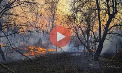 Οι φλόγες εισέβαλαν σε περισσότερα από 1.000 στρέμματα της δασικής έκτασης που βρίσκεται γύρω από τον κατεστραμμένο πυρηνικό σταθμό, περίπου εκατό χιλιόμετρα βόρεια της πρωτεύουσας, του Κιέβου | Διεθνείς Ειδήσεις