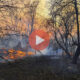 Οι φλόγες εισέβαλαν σε περισσότερα από 1.000 στρέμματα της δασικής έκτασης που βρίσκεται γύρω από τον κατεστραμμένο πυρηνικό σταθμό, περίπου εκατό χιλιόμετρα βόρεια της πρωτεύουσας, του Κιέβου | Διεθνείς Ειδήσεις