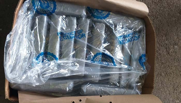 Εντόπισαν 70 κιλά κοκαΐνης μέσα σε φορτίο με «μπανάνες»