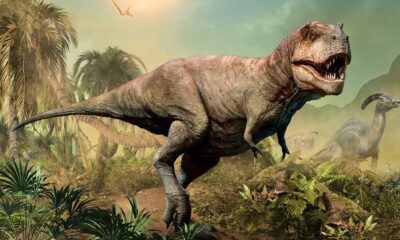Στο σφυρί τυραννόσαυρος ρεξ ηλικίας 67 εκατ. ετών!