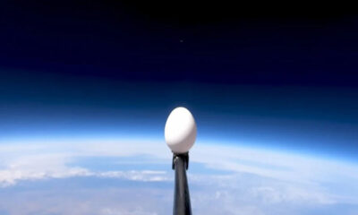 Το πείραμα της NASA με το αυγό.