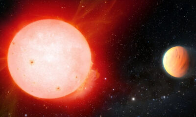 Ανακαλύφθηκε ο Wolf-1069b, ένας κοντινός εξωπλανήτης δυνητικά φιλόξενος για ζωή